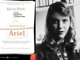 7 Books to Read if You Loved Ariel by Sylvia Plath