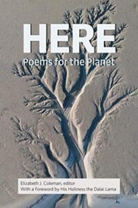 HERE: Poems for the Planet, edited by Elizabeth J. Coleman - New Poetry April 23 2019 - little infinite