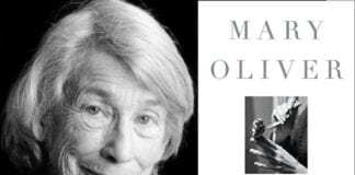 5 Books to Read if You Love Mary Oliver's Devotions