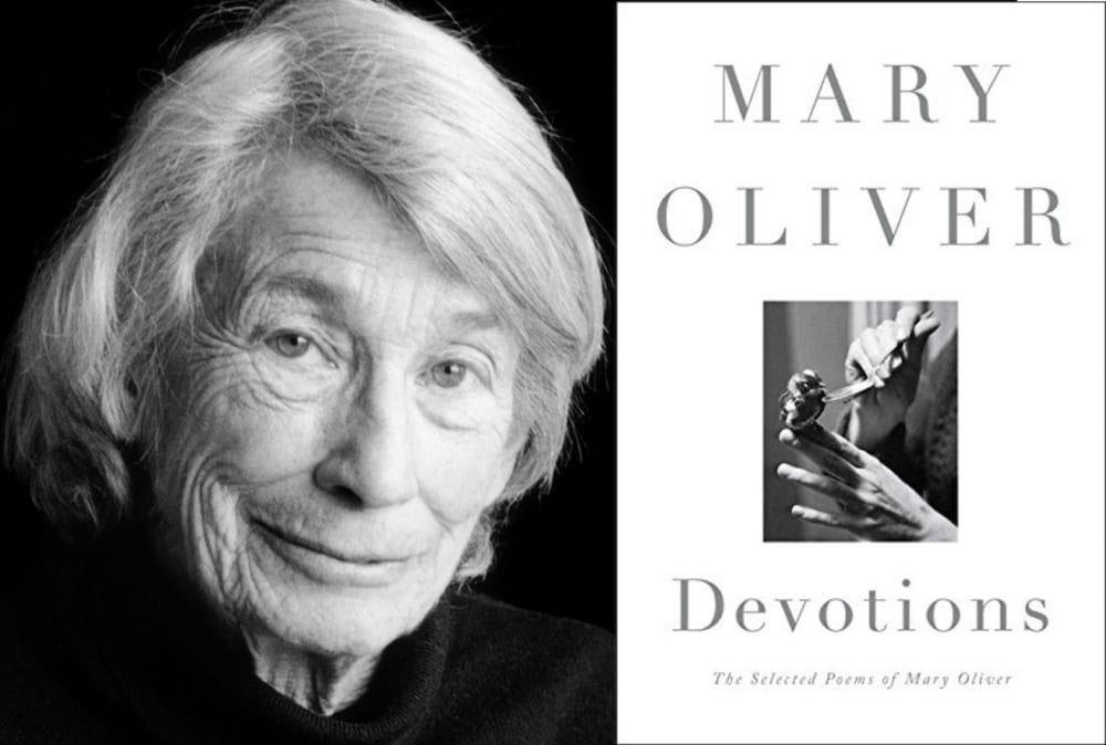 5 Books to Read if You Love Mary Oliver's Devotions