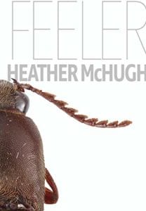 Poetry - Feeler Heather McHugh