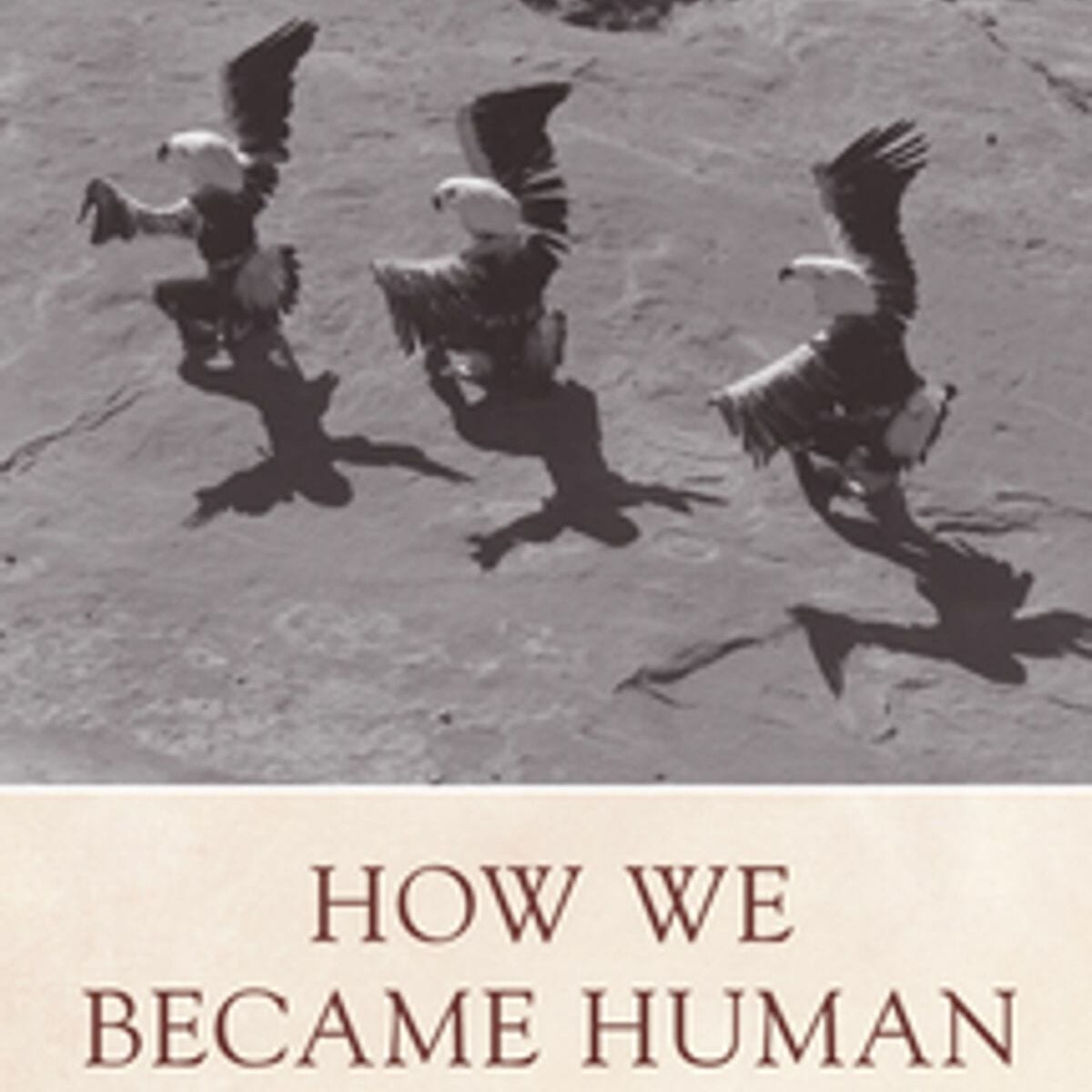 how we became human