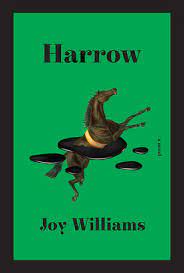 Harrow, by Joy Williams - award winner