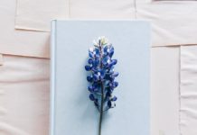 flower with poetry book