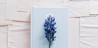 flower with poetry book