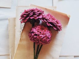 poetry with flowers for healing spring cleaning for the soul