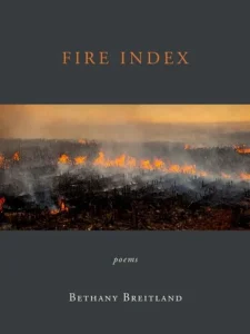 Fire Index