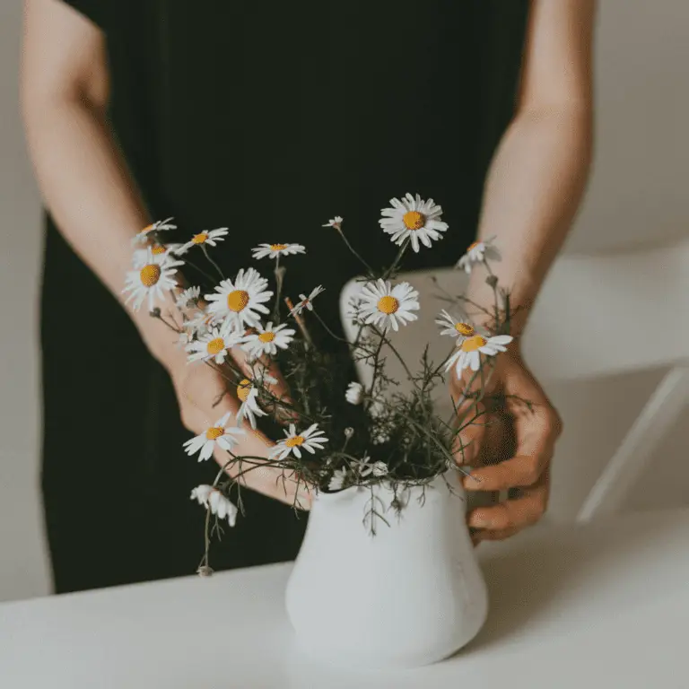 Person in black clothing reaching out to a white vase with white daisies growing out of it