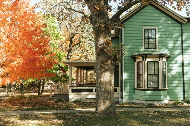 Green two story house in the fall with a tree in the front - poetry