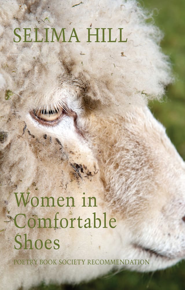 Women in Comfortable Shoes Book Cover