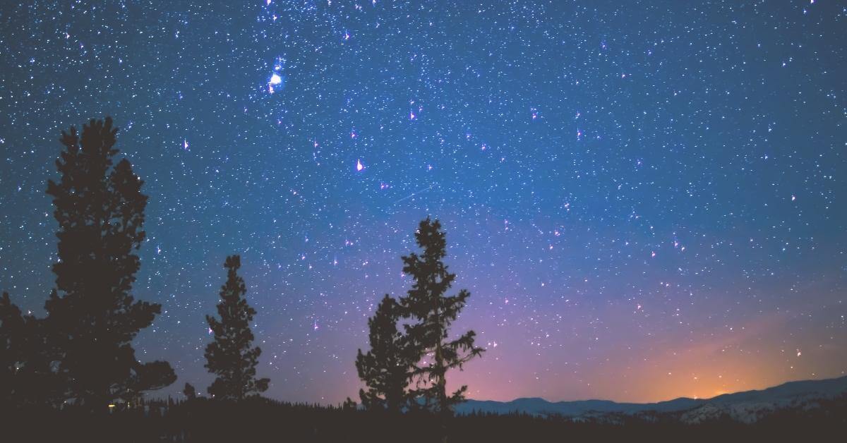 Starry sky with mountains and evergreen trees in foreground